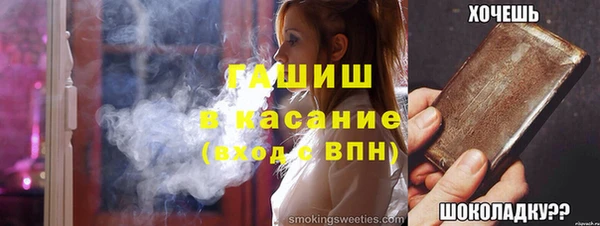 крисы Богородицк