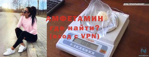 ешки Бронницы