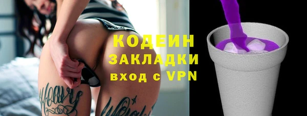 крисы Богородицк