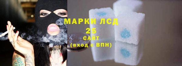 крисы Богородицк