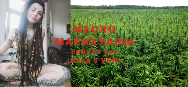 крисы Богородицк