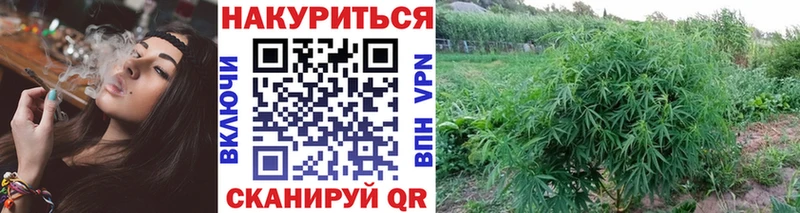 купить наркоту Киржач Шишки марихуана семена